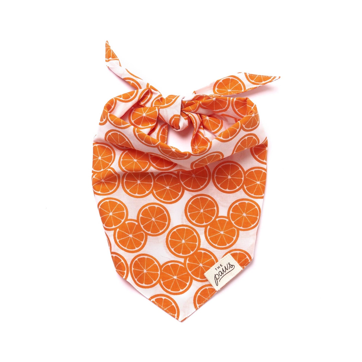 Fresh Slice Dog Bandana