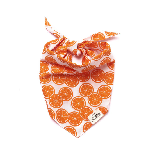 Fresh Slice Dog Bandana